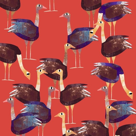 Паттерн страусов 