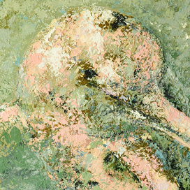 Принцесса Амазонки