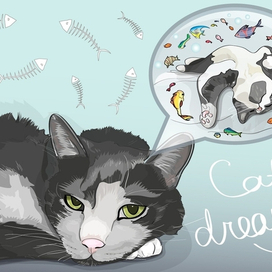 мечты кота