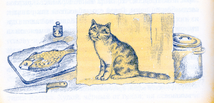 Васька, из жизни одного кота