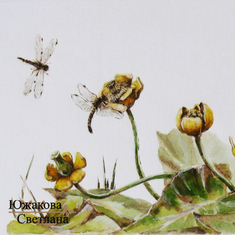 Кубышки со стрекозами