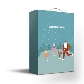 Подарочная новогодняя детская упаковка "На льду" 2026
