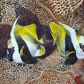 Тропиканки