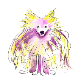 Жульен. Породистый