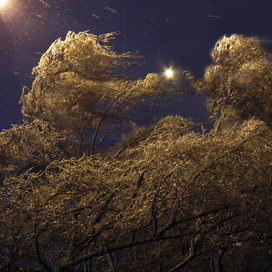 "... с неба звёздочку вручил"