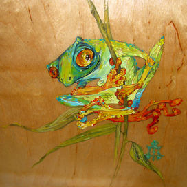 Лягушатина