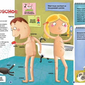 Твоё прекрасное тело