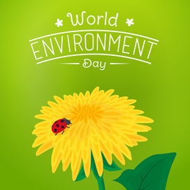 Картинка ко дню окружающей среды