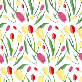 Tulips