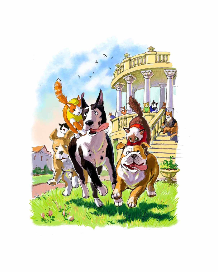 Гонки на собаках))