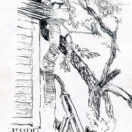 Торвальддом