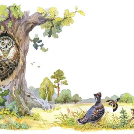 Старый филин