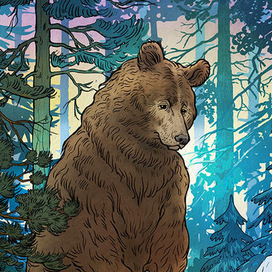 Встреча с Медведем