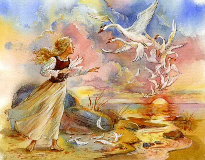 Дикие лебеди