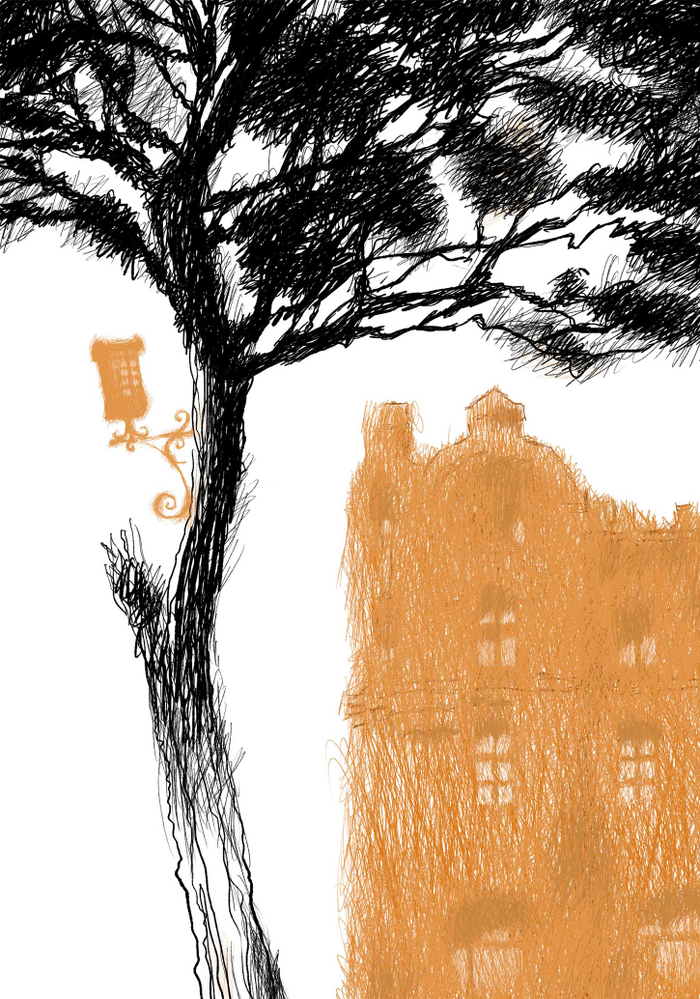 без названия