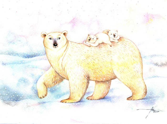 Белые мишки