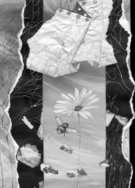 Вечерний чай