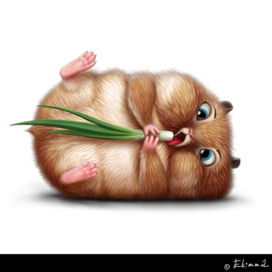 Хома на диете ;)