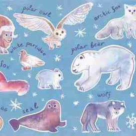 Тайга нон фикшен