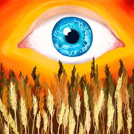 Глаз в поле