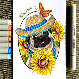 Полсолнечный мопс