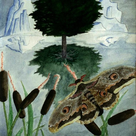 Весна в Тайге