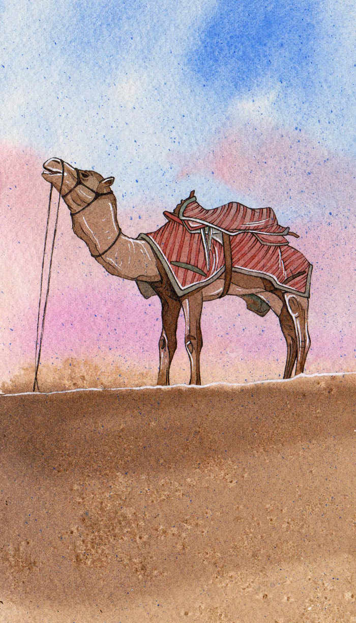 В пустыне (4)