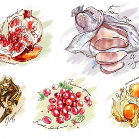 Серия иллюстраций для журнала Taste