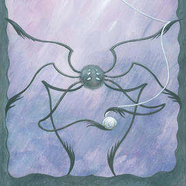 Нежный Паук