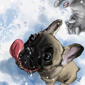 Счастливые питомцы