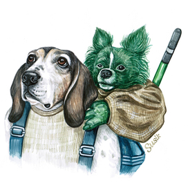 Звездные войны