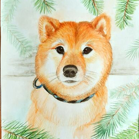 Иллюстрация 