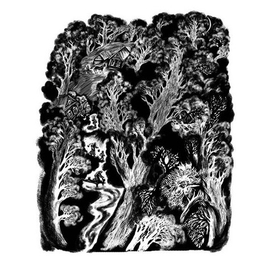 Иллюстрация к поэме Габдкуллы Тукая "Шурале"