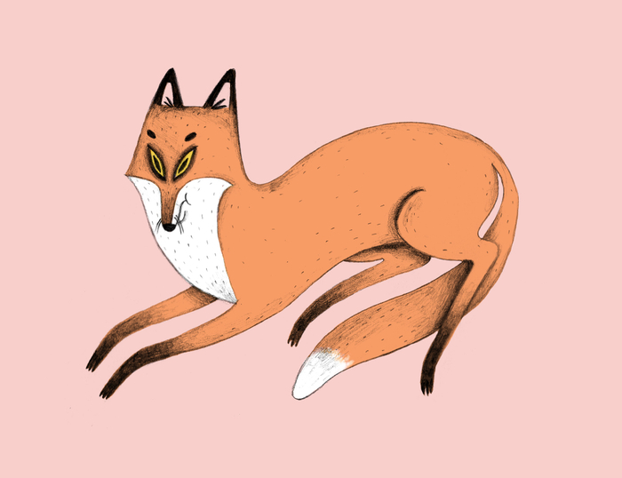 jumping fox