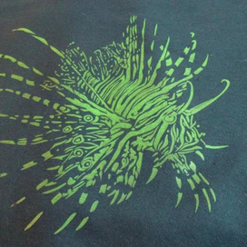 рыба-крылатка  шелгография