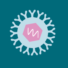 Varicella zoster / Вирус ветряной оспы