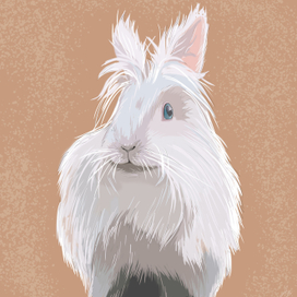 Кролик Дикси