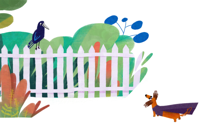 Иллюстрация к Charlie the superhero