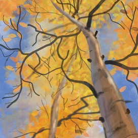 Осень золотая 