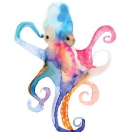 octopus