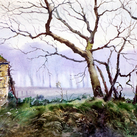 Туман в горах Ирландии.