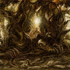 Очень старое дерево