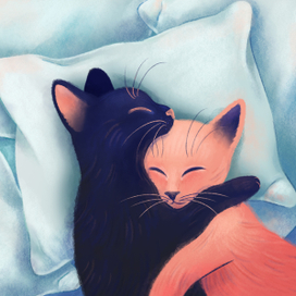 В объятьях друг друга