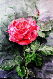 королева цветов