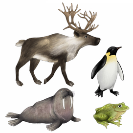 Развивающая детская тетрадь