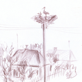 Про аистов 1