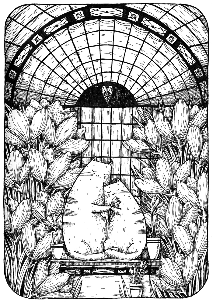 Котеньки в Питере