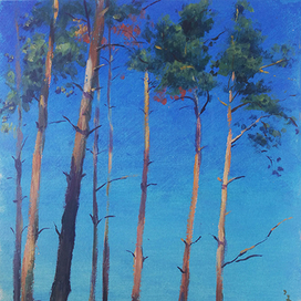 Этюд с натуры маслом