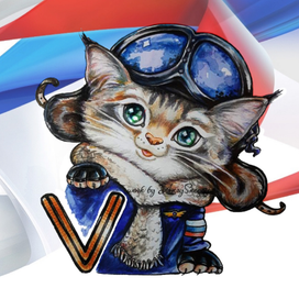 Боевые котики ZOV