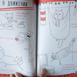 Иллюстрации и книге